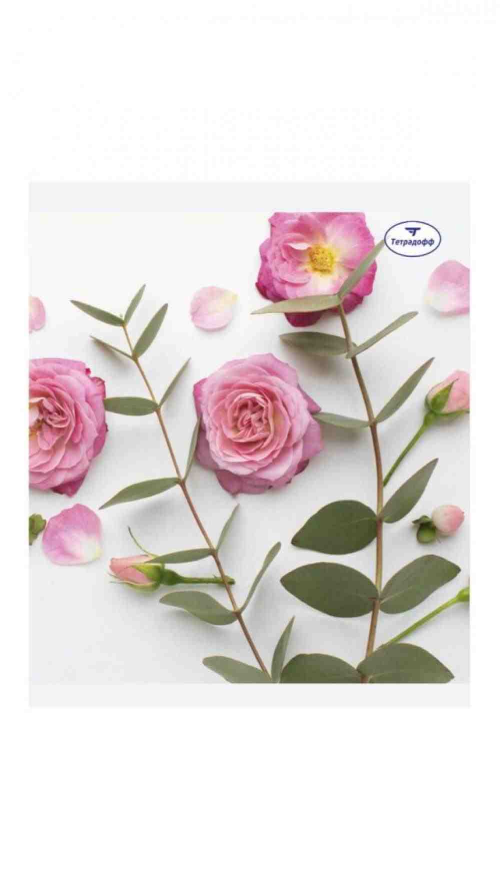 Тетрадь А5 96л общая ф. 170х205 серия Цветы