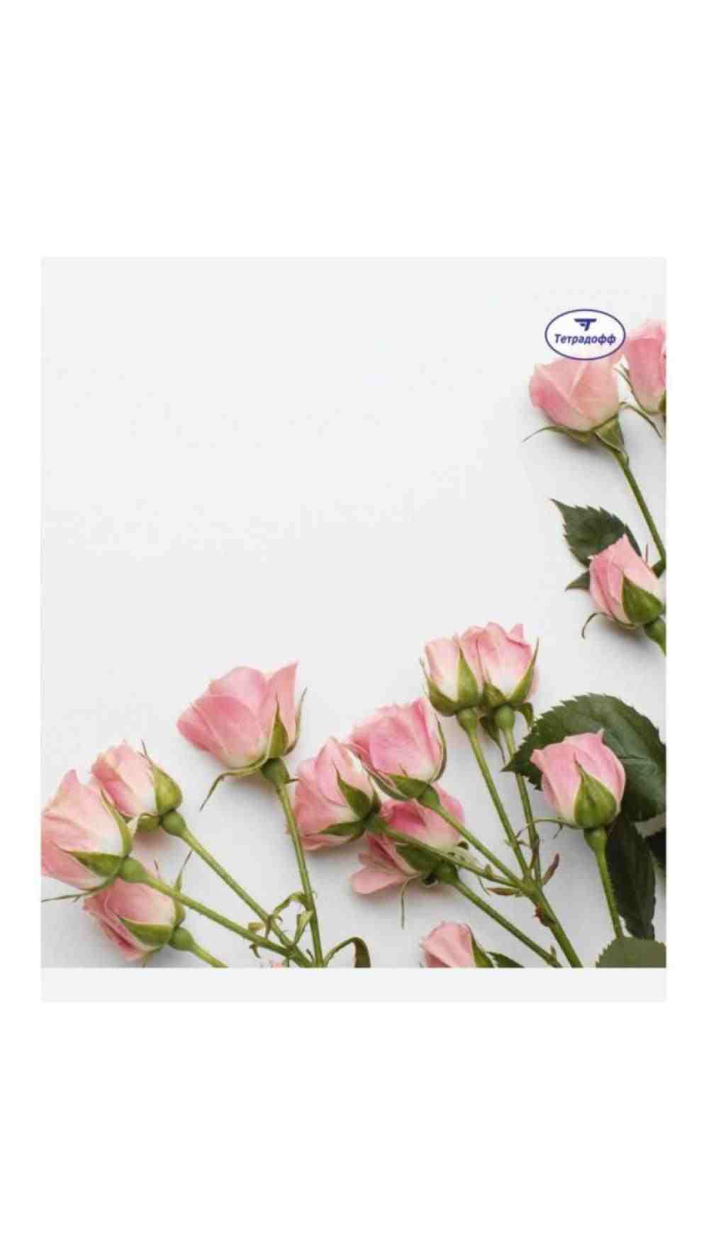 Тетрадь А5 96л общая ф. 170х205 серия Цветы