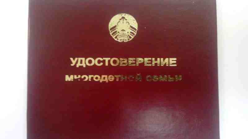 Удостоверение многодетной семьи (бумвинил) #800000