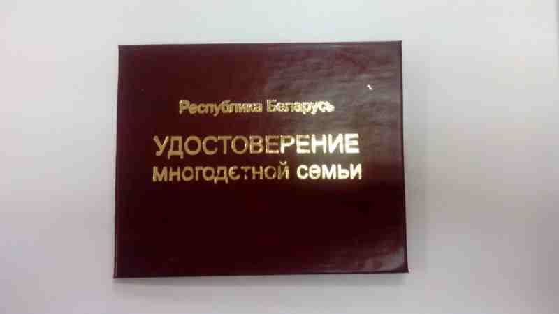 Удостоверение многодетной семьи (бумвинил) #800000